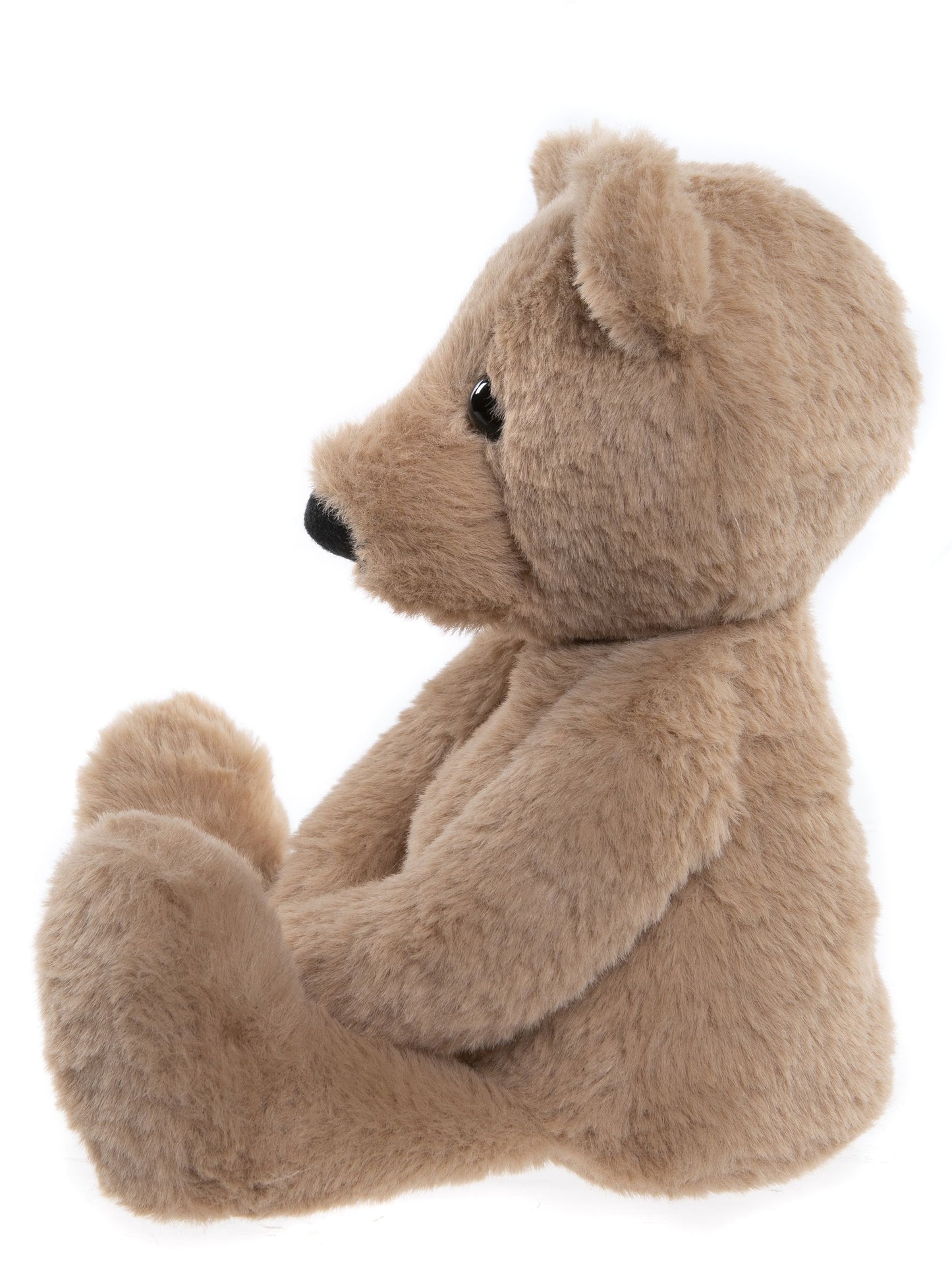 Bear & Me- Charlie Bear