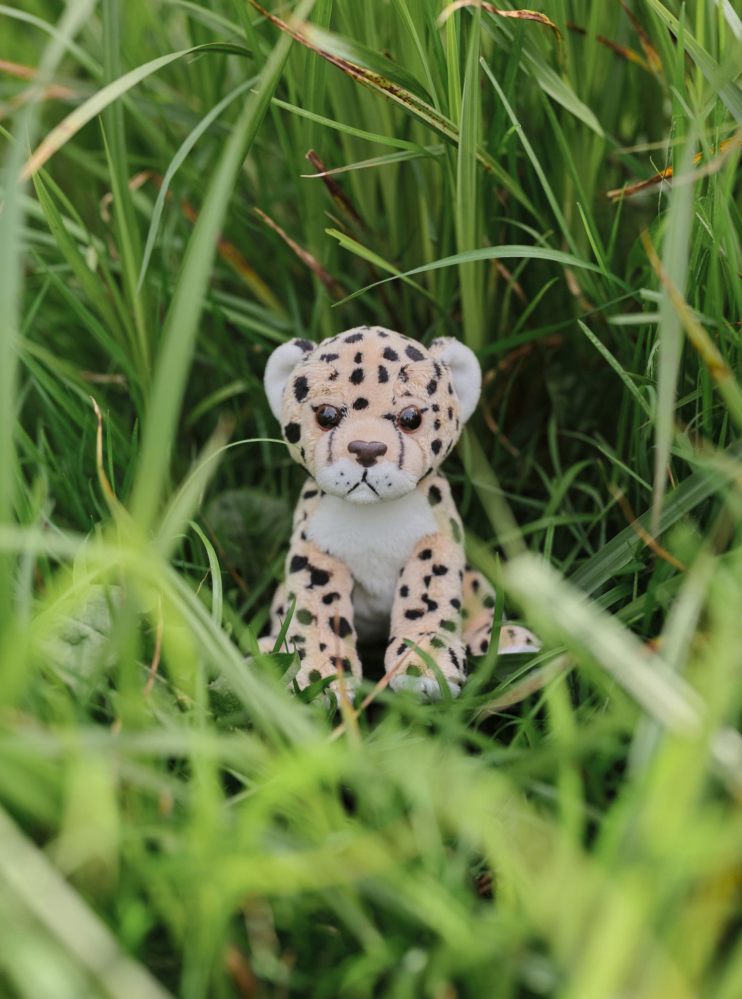 Cuddle Cub- Leopard