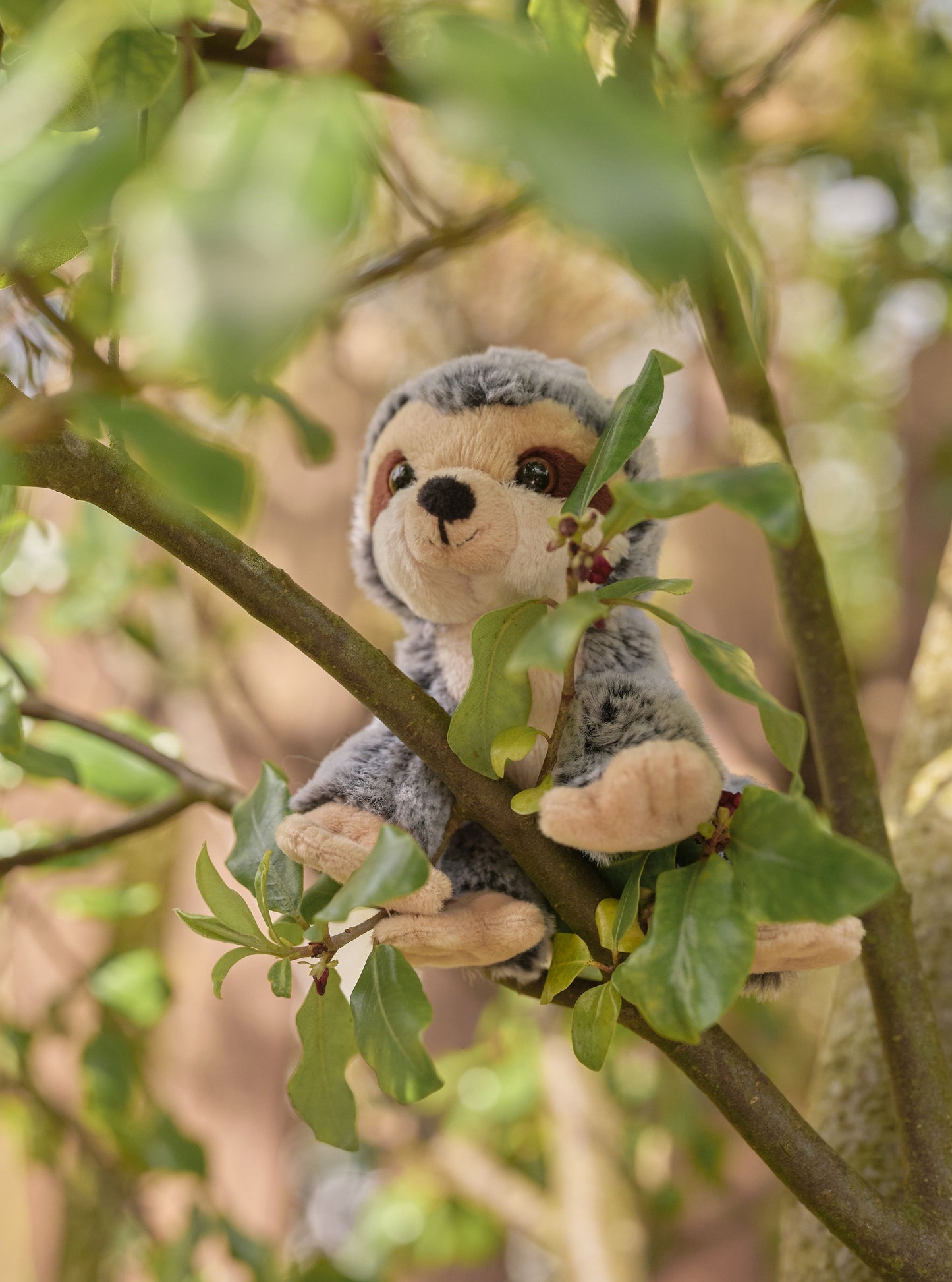 Cuddle Cub- Sloth
