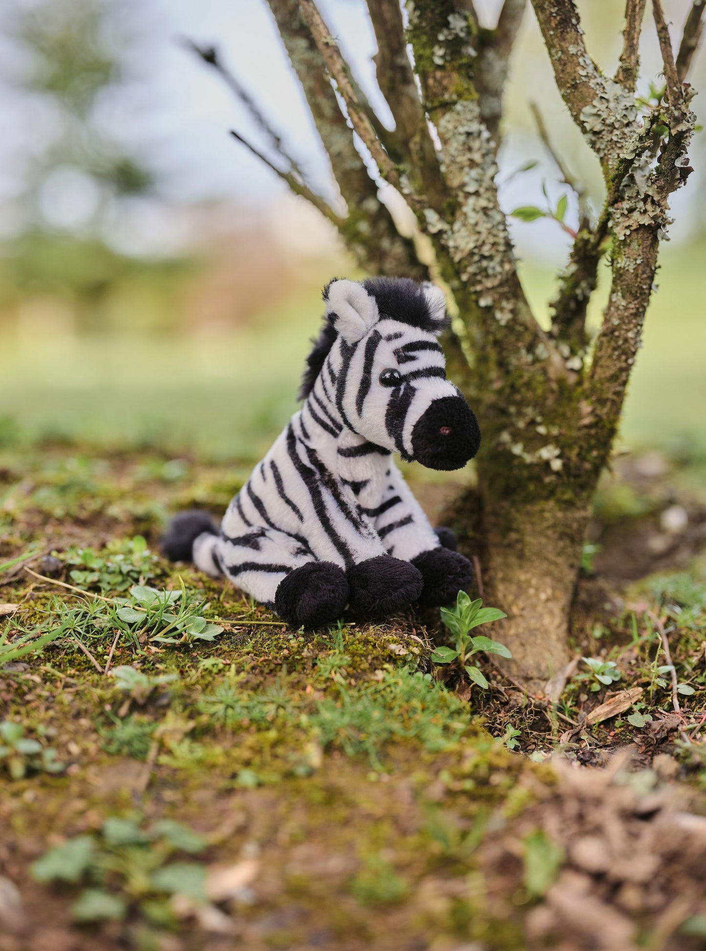 Cuddle Cub- Zebra