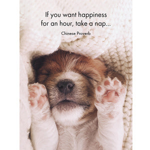 Live, Love, Bark