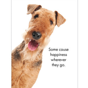 Live, Love, Bark