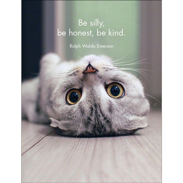 Wise Cats