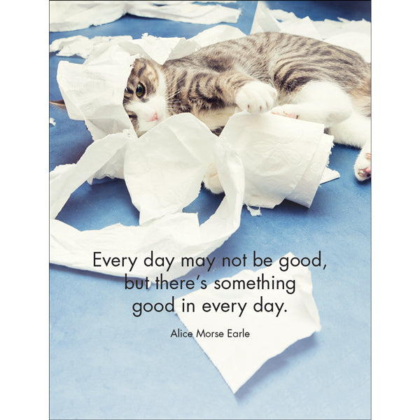 Wise Cats