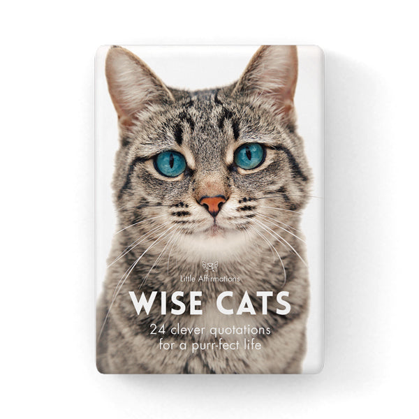 Wise Cats