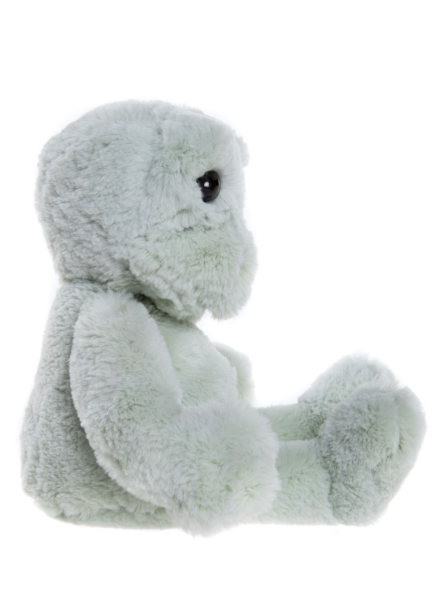 Bear & Me- Freddie Frog