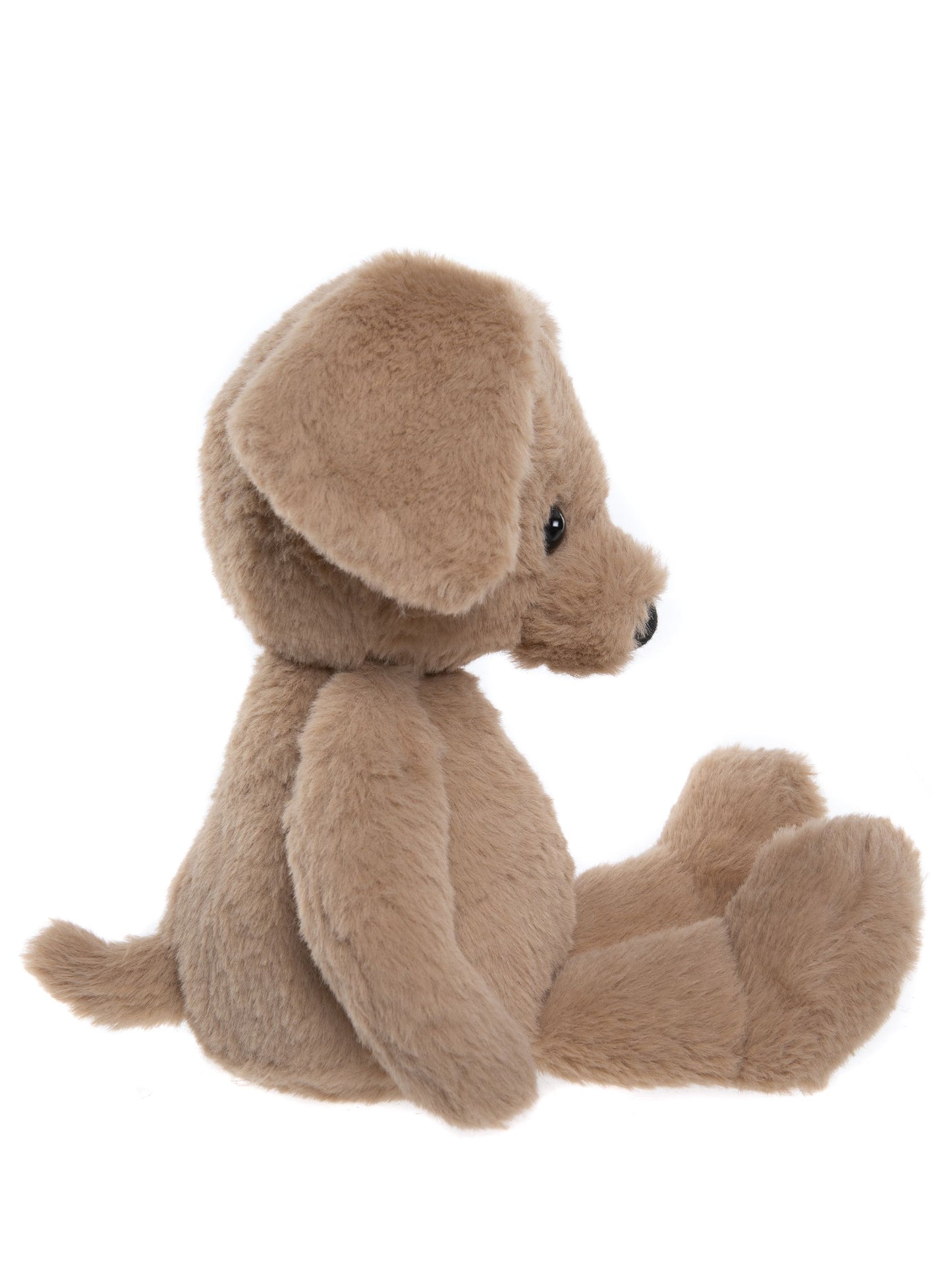Bear & Me- Ruff Puppy