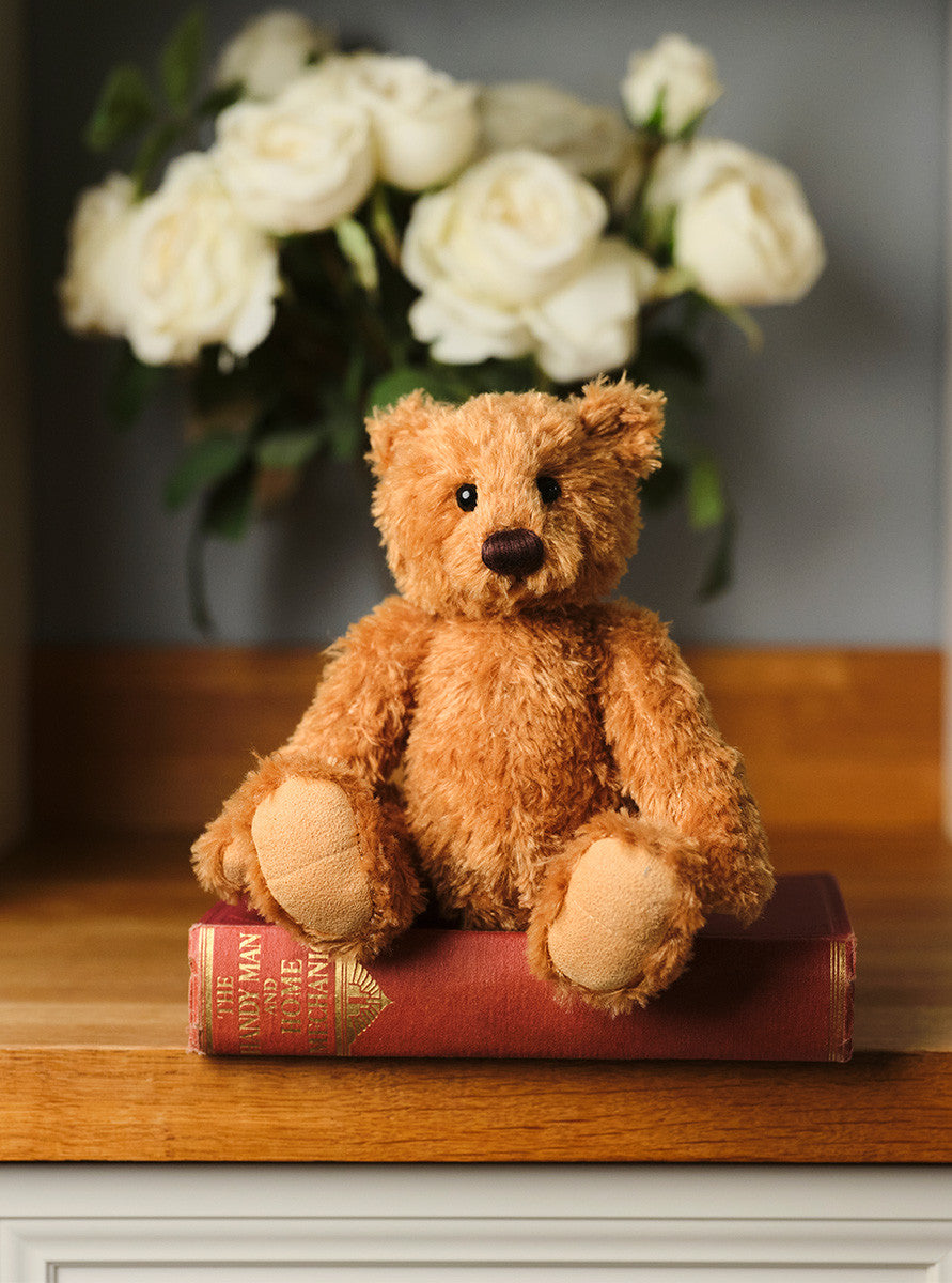 Huggable Harry