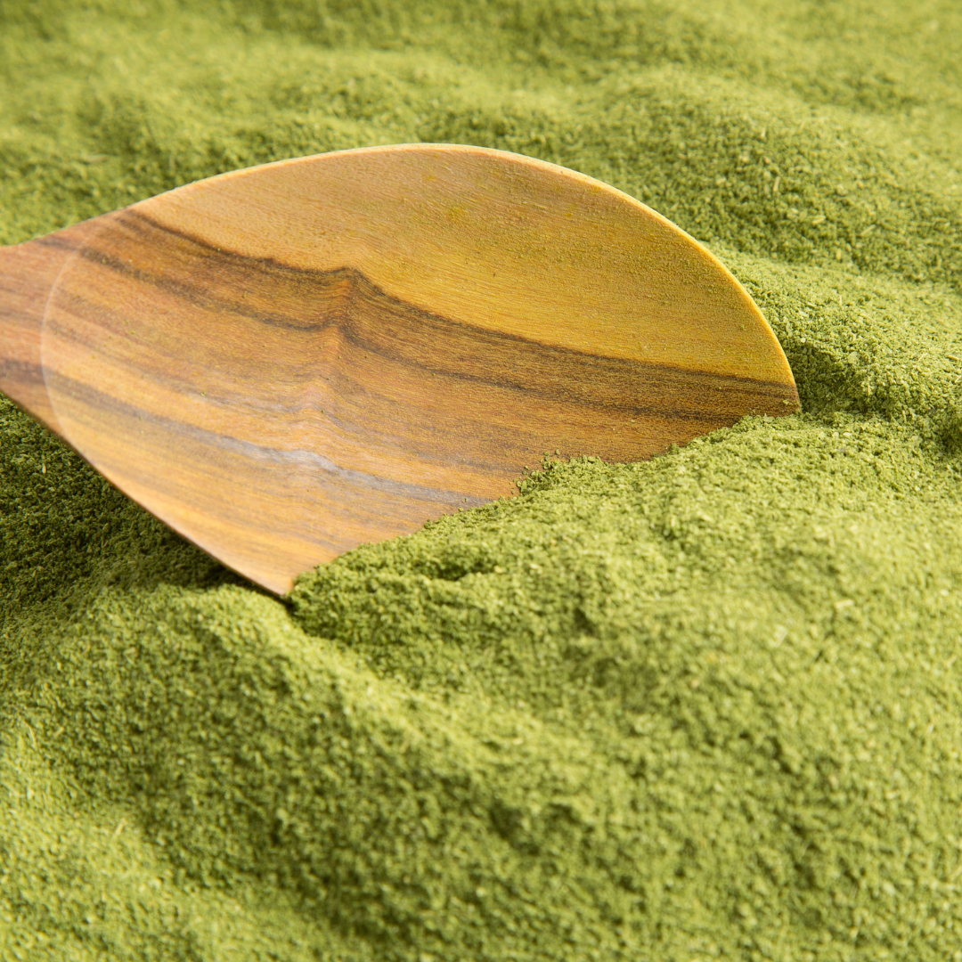 Moringa Oleifera Powder 500g