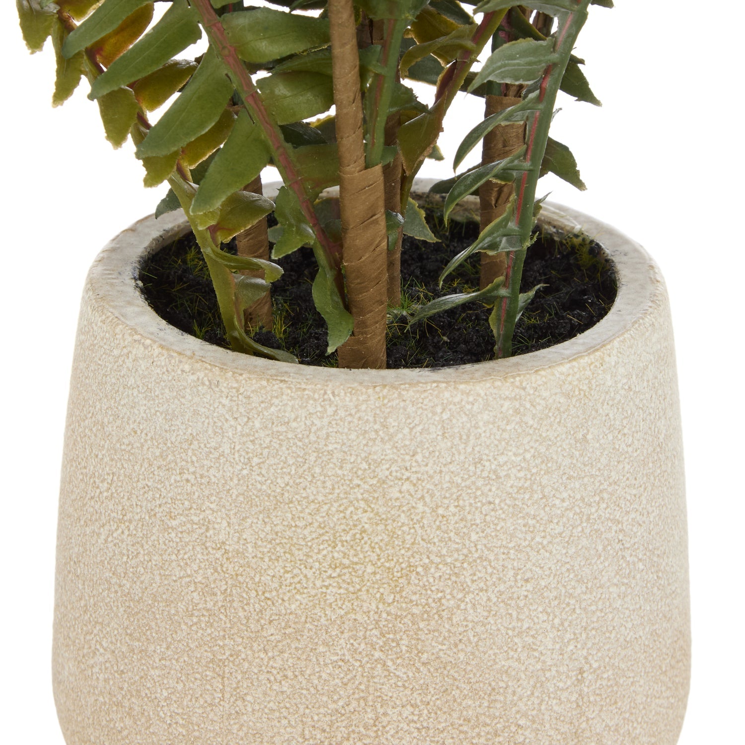 Rogue Boston Fern Pot Green