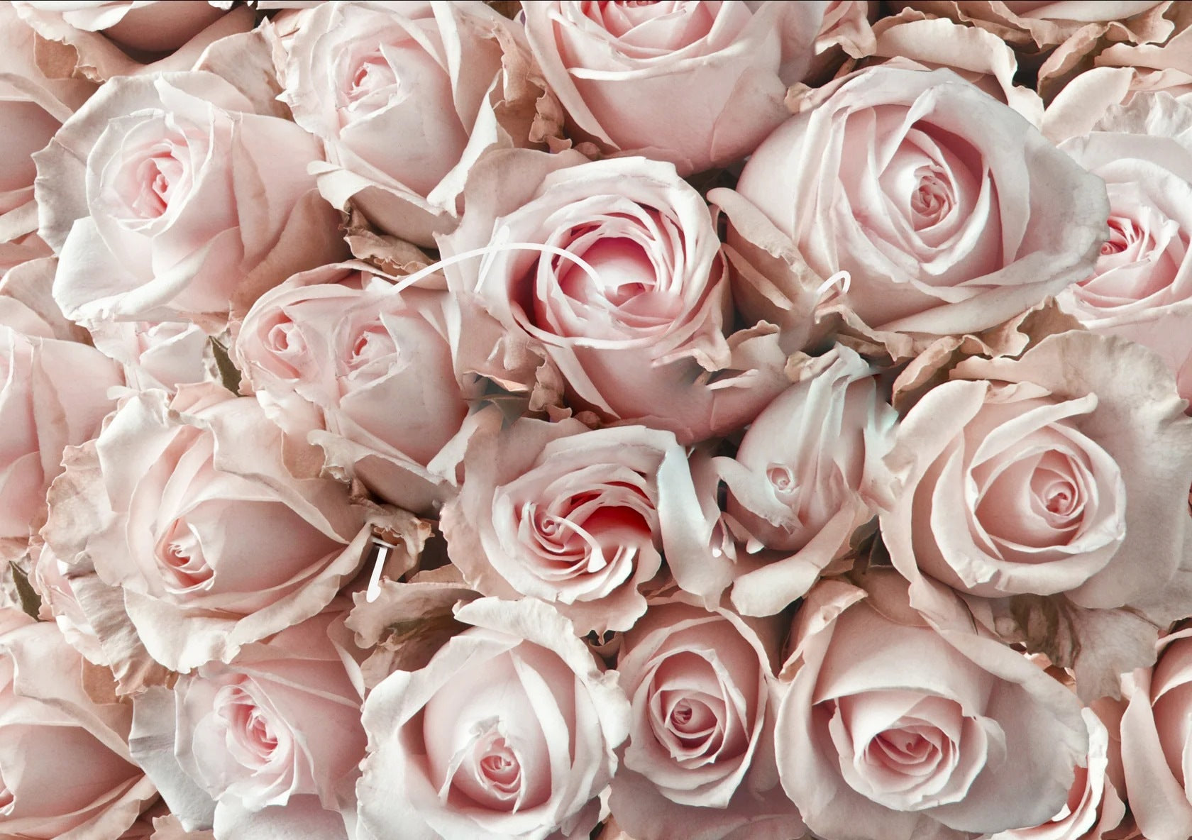 Boutique florist