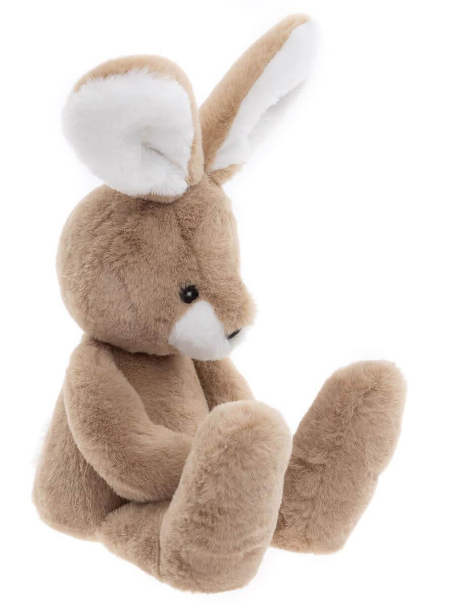 Harry Hare