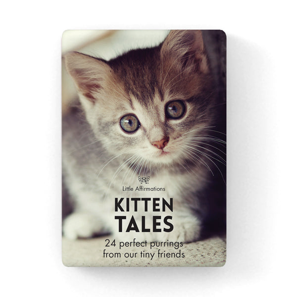 Kitten Tales