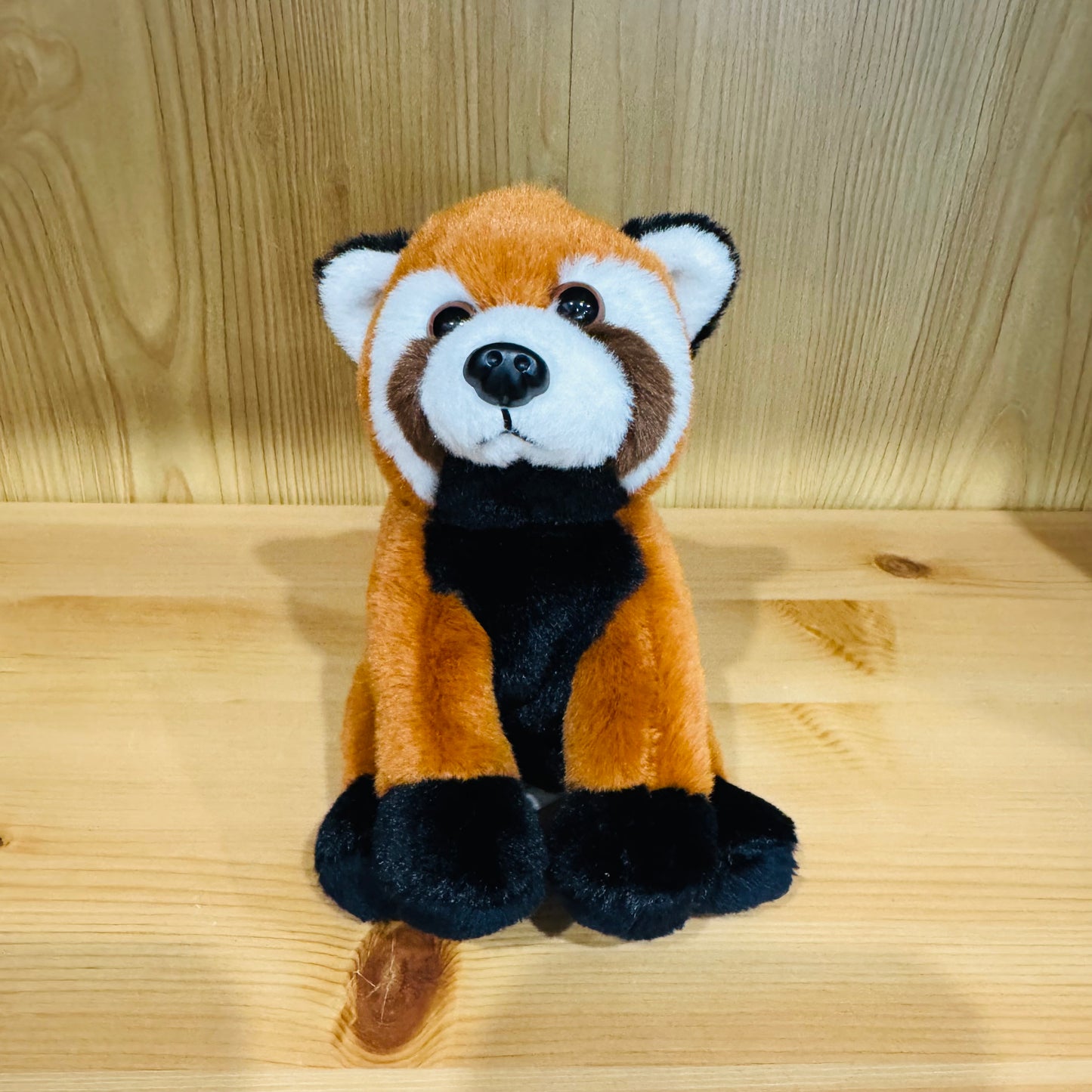 Cuddle Cub- Red Panda