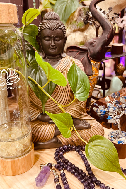 Crystal Chip Water Bottle- Citrine