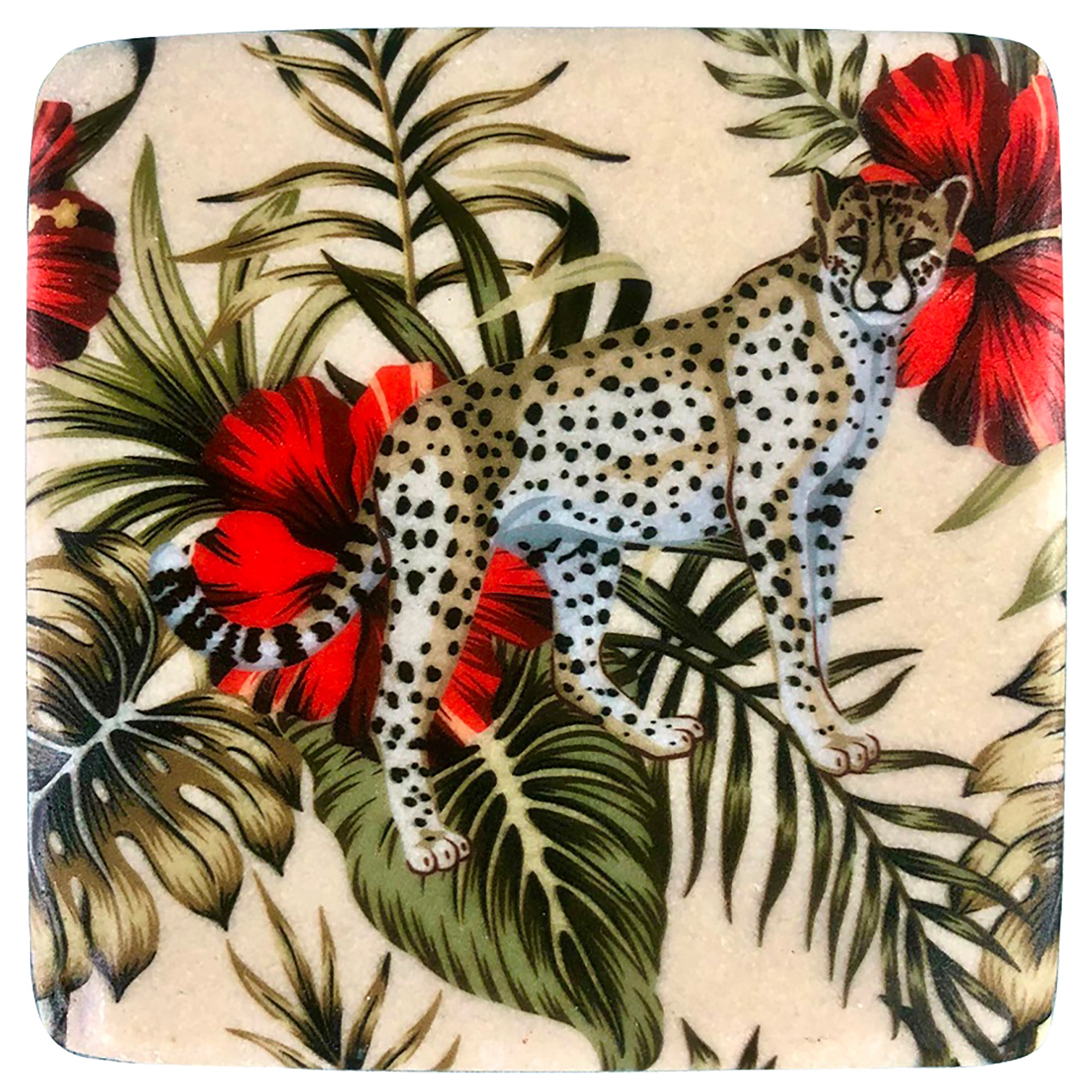 Wild Pounce Resin Coasters Set of 4 (10x10cm)
