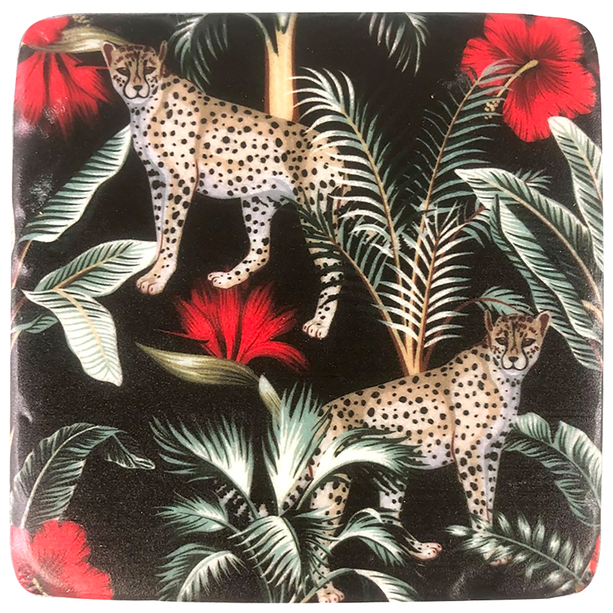 Wild Pounce Resin Coasters Set of 4 (10x10cm)