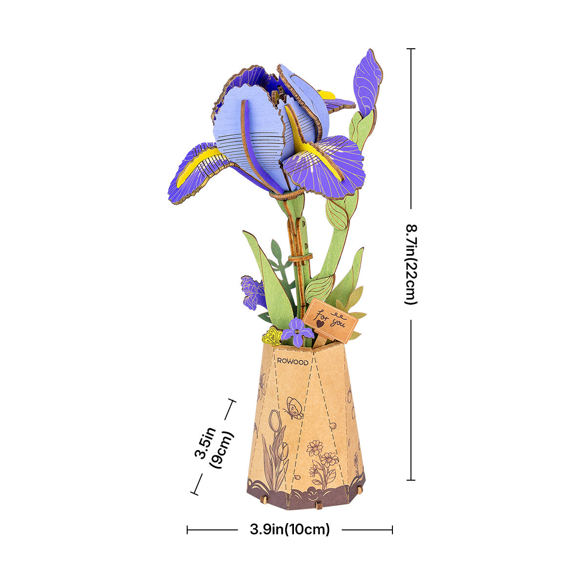 Purple Iris