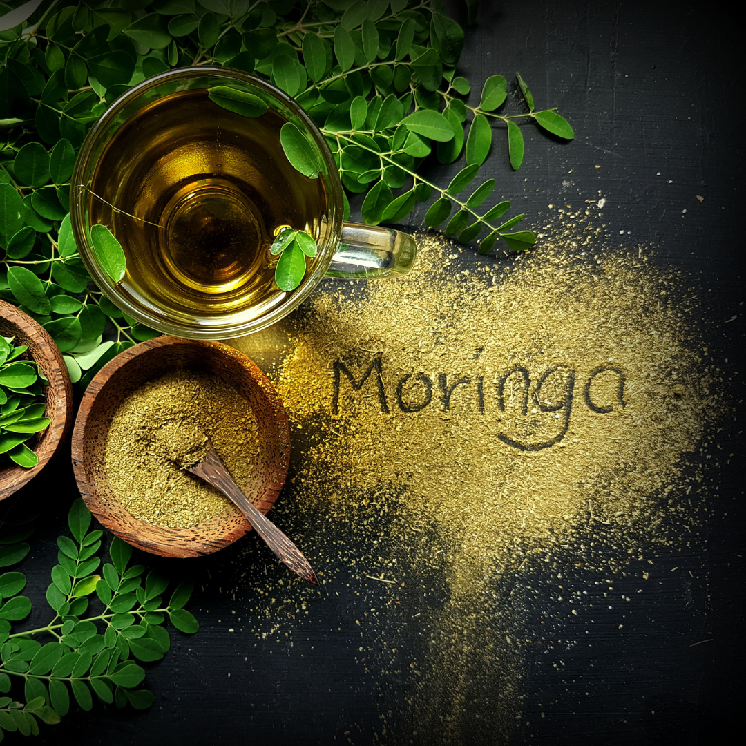 Moringa Oleifera Powder 500g