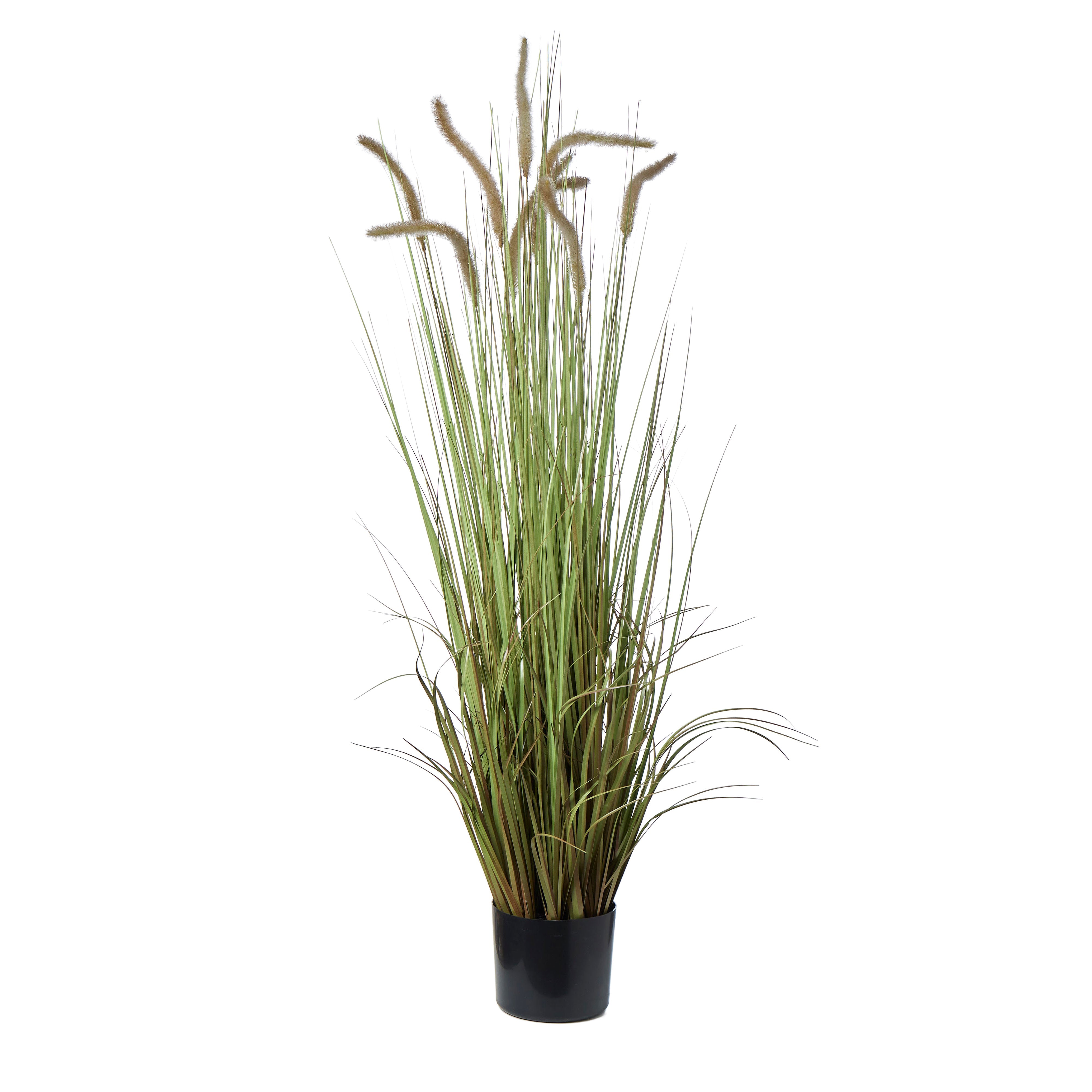 Rogue Grass Plant Green 40x40x90cm