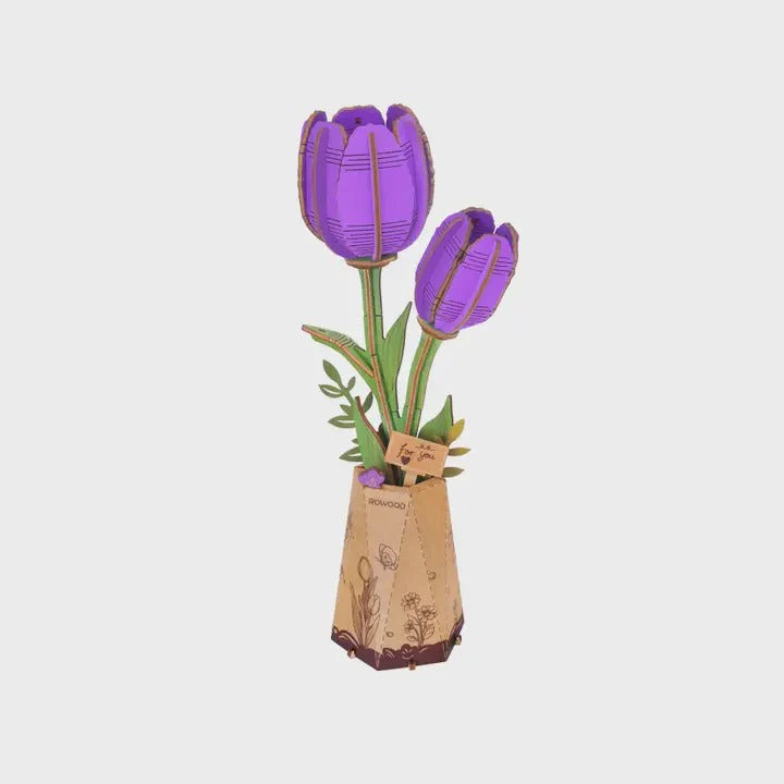 Purple Tulip