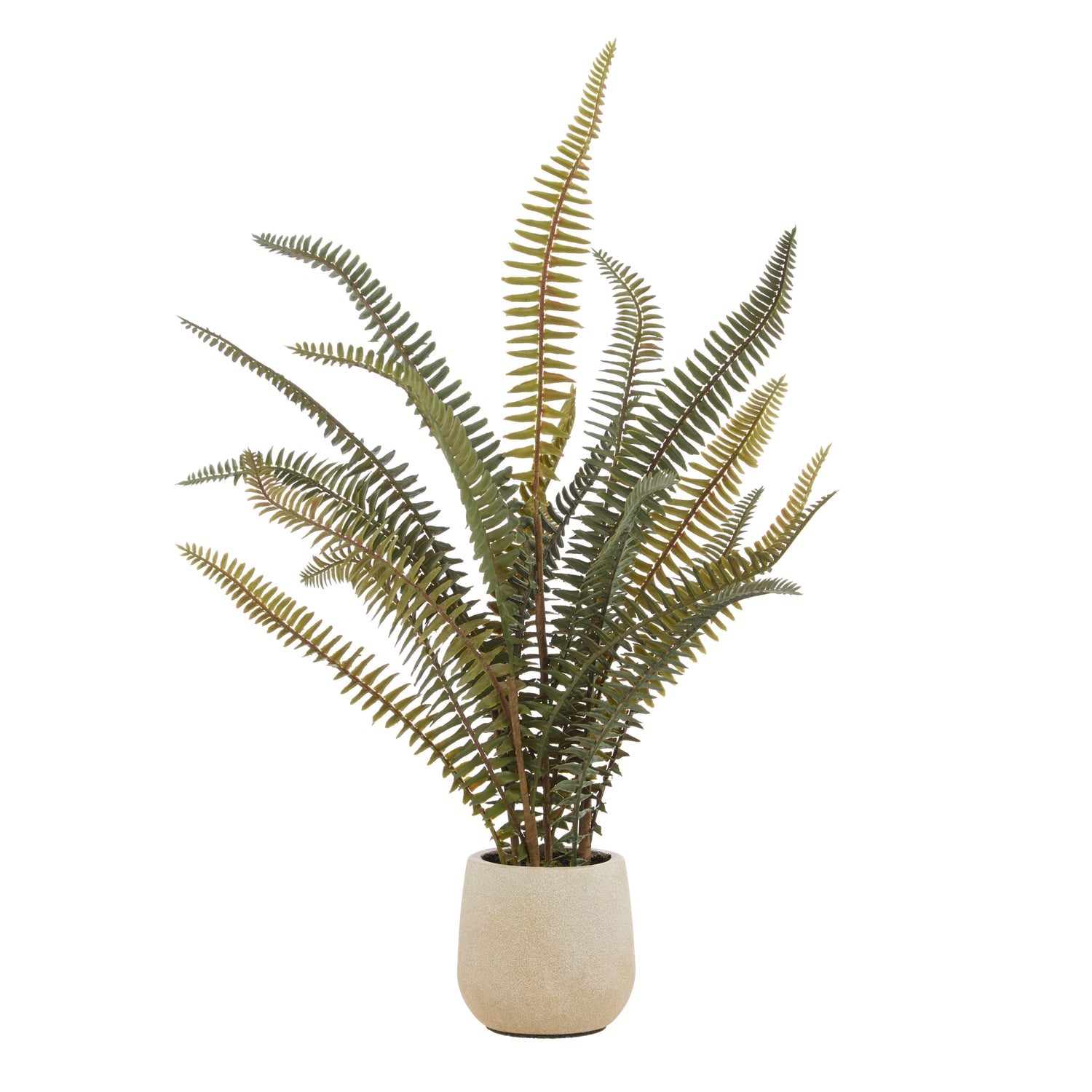 Rogue Boston Fern Pot Green