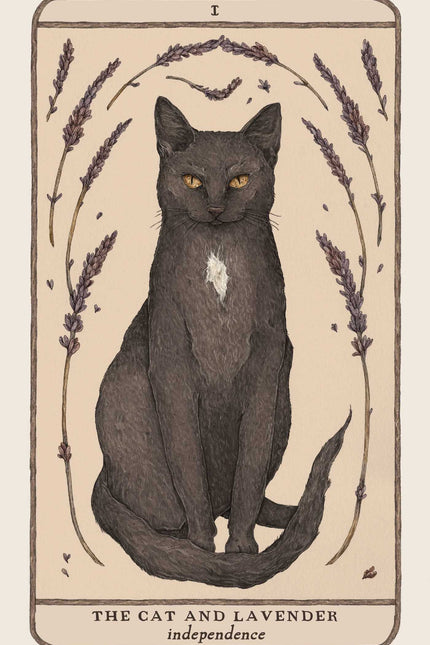 Woodland Wardens: A 52-Card Oracle Deck & Guidebook