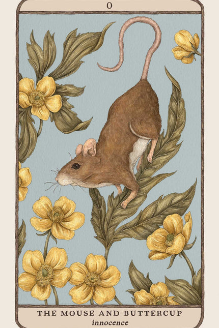 Woodland Wardens: A 52-Card Oracle Deck & Guidebook