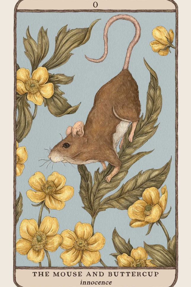 Woodland Wardens: A 52-Card Oracle Deck & Guidebook