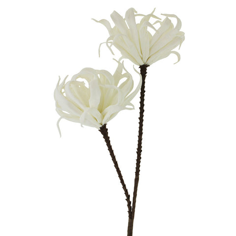 Abstract Bloom