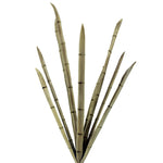 Bamboo Brumch